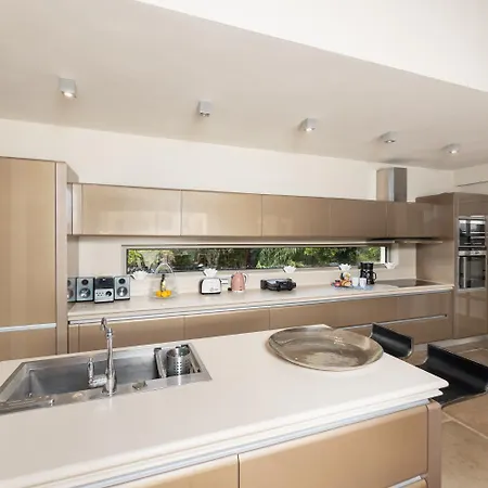 Pomegranate Tree Willa Kateleios