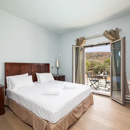 Villa Pomegranate Tree *