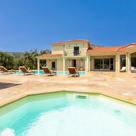 Pomegranate Tree Willa