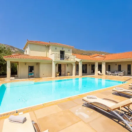 Pomegranate Tree Willa *