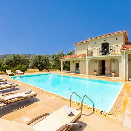 Willa Pomegranate Tree *